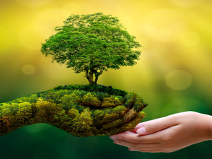 Nature Conservation