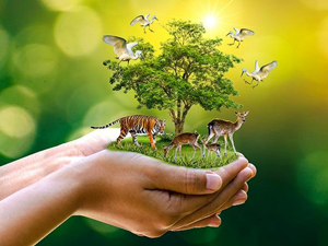 Wildlife Conservation